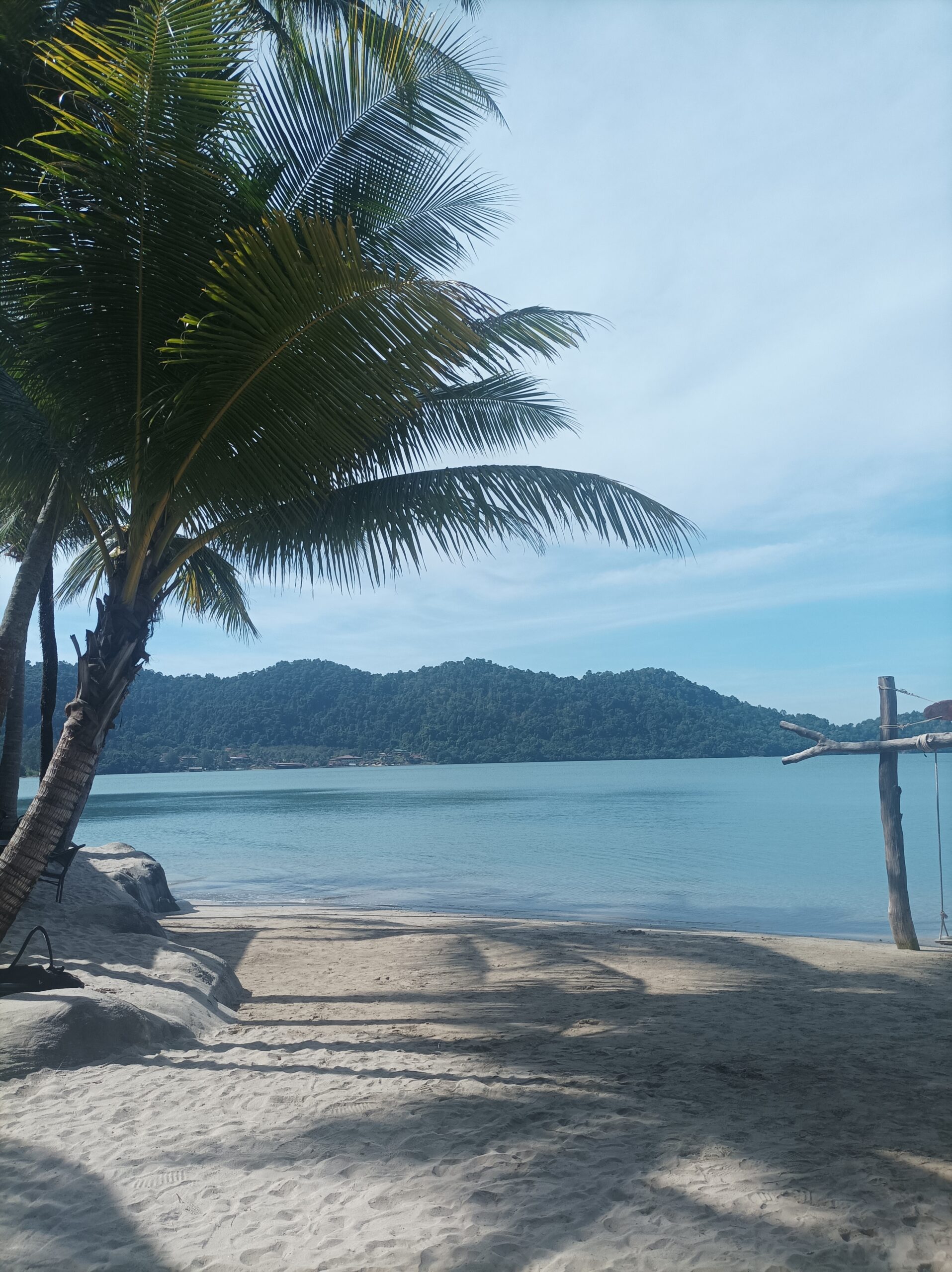 Trading Butter for Coconut: How a CMPA Diagnosis Led Us to Southeast Asia
